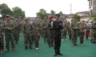 上阵父子兵全集 上阵父子兵全集